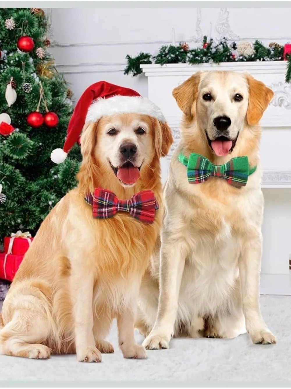 New In Box Set of 2 Red & Green Plaid Dog Collars - Medium